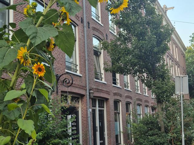 Kamer te huur in Zuid, Amsterdam
