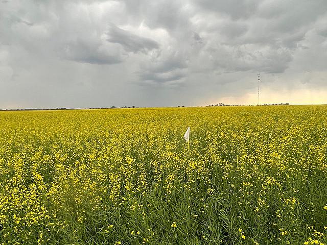 Land for sale in Barrhead, Alberta