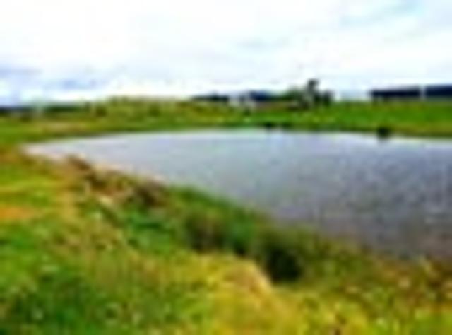 Land for sale in Fairburn, Northland