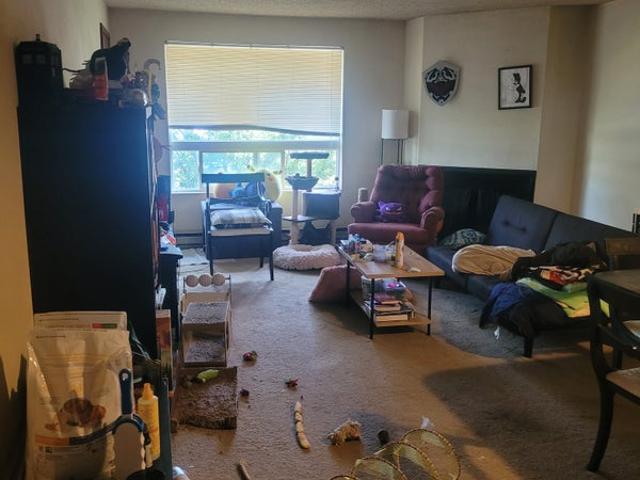 Room for rent in Bellingham, Washington