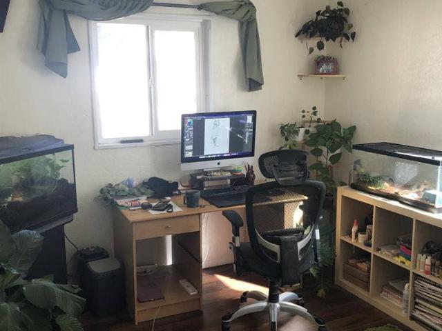 Room for rent in New Mexico