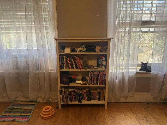 Room for rent in Denver, Colorado