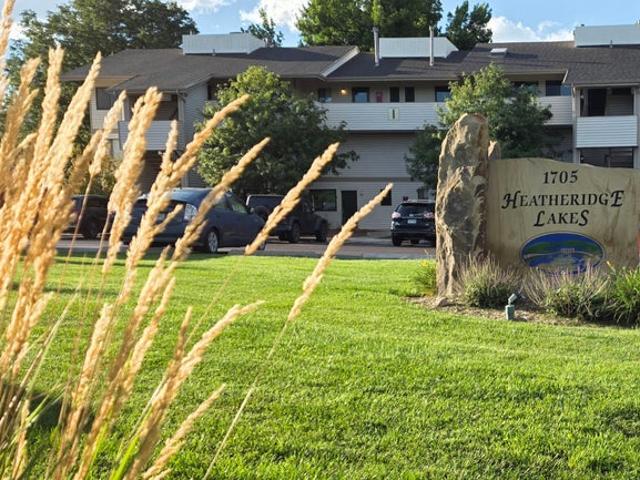 Room for rent in Fort Collins, Colorado