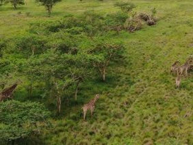 Land for sale in Umgungundlovu, Kwazulu-natal