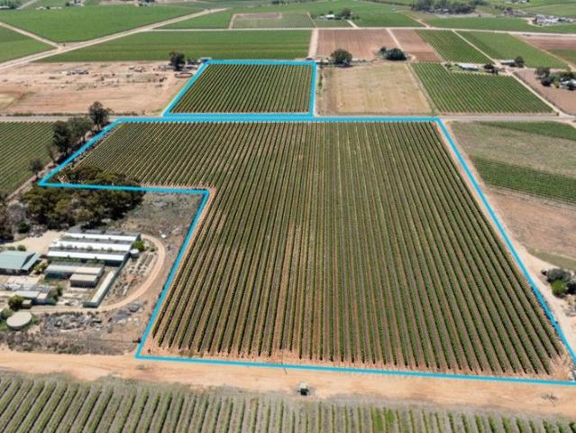 Property for sale in Barmera, South Australia