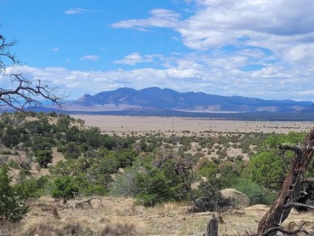Land for sale in Catron, New Mexico