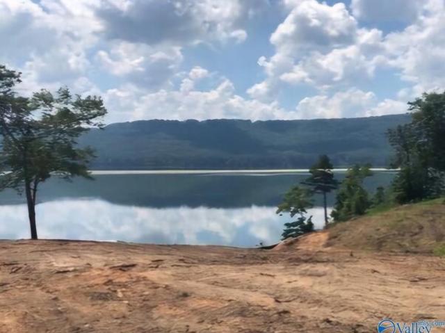 Land for sale in Scottsboro