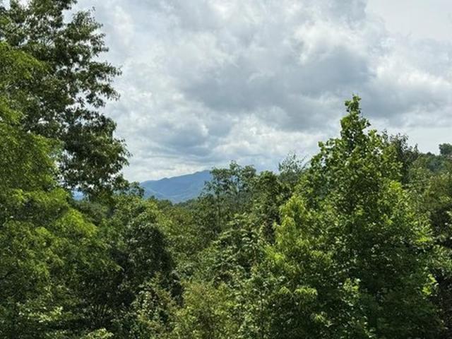 Land for sale in Bryson City, North Carolina