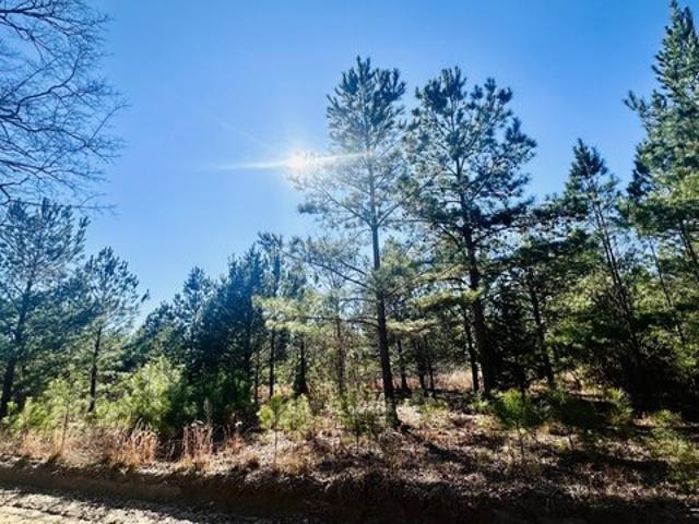 Land for sale in Barnwell, South Carolina