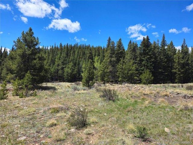 Land for sale in Fairplay, Colorado