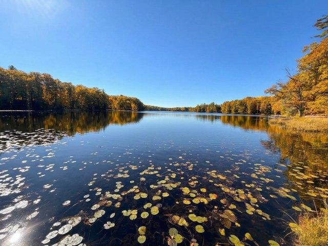 Land for sale in Weyerhaeuser, Rusk County