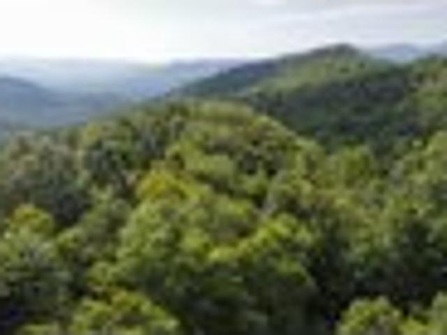 Land for sale in Franklin, North Carolina