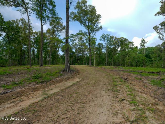 Land for sale in Clinton, Mississippi