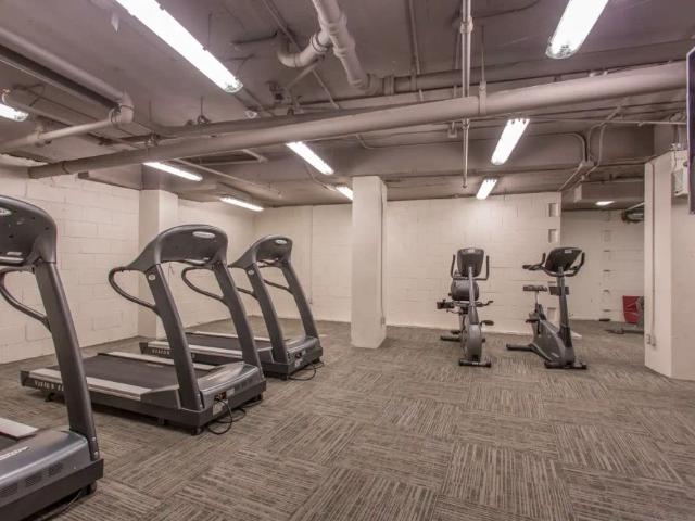 Apartment for rent in South Parkdale, Toronto
