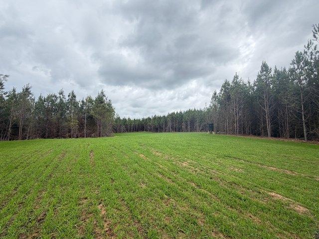 Land for sale in Dozier, Crenshaw County