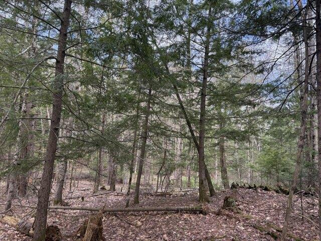 Land for sale in Buxton, Maine