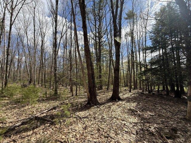 Land for sale in Buxton, Maine