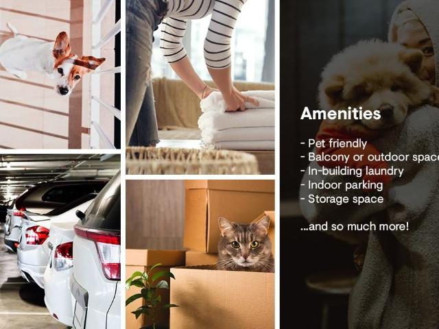Apartment for rent in Woburn, Ontario