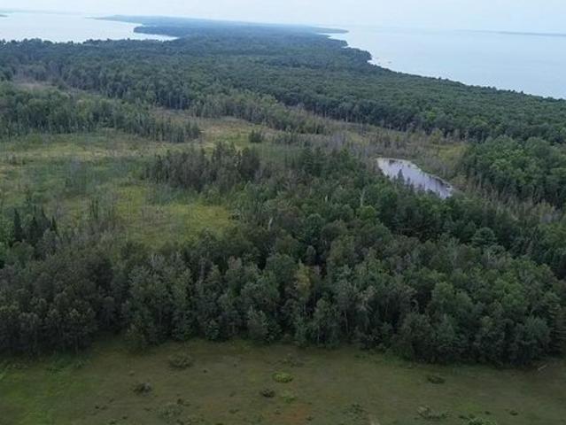 Land for sale in Central Lake, Michigan