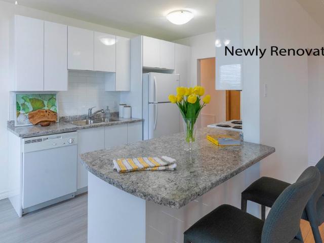 Apartment for rent in Westmorland, New Brunswick