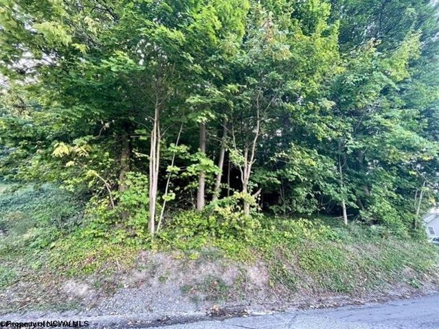 Land for sale in Morgantown, West Virginia