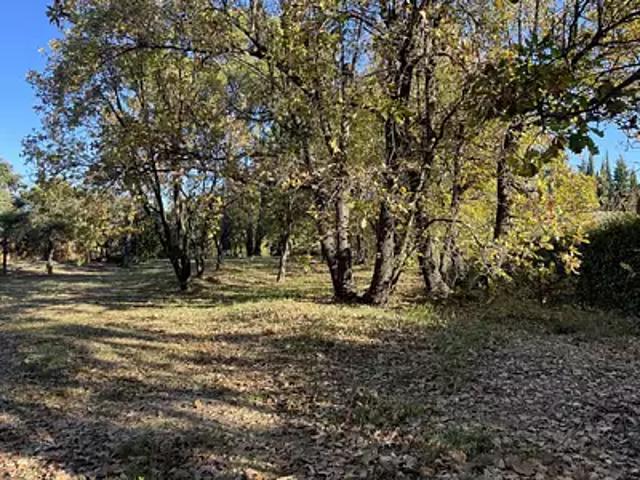 Terrain vente à Arrondissement de Draguignan, Lorgues