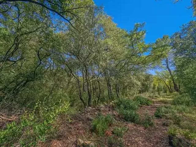 Terrain vente à Arrondissement de Draguignan, Lorgues