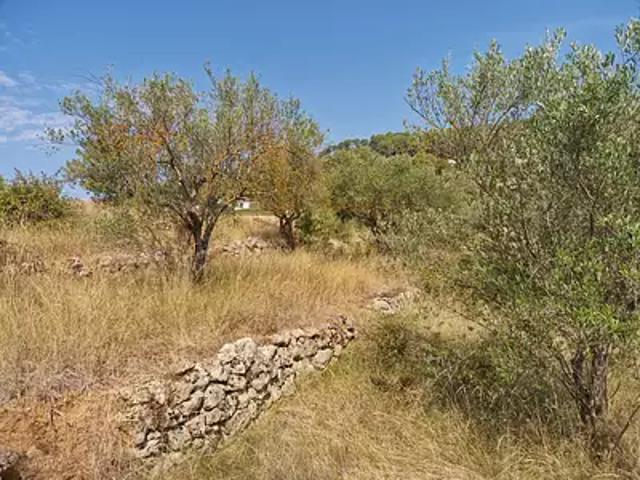 Terrain vente à Arrondissement de Draguignan, Lorgues