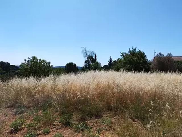 Terrain vente à Arrondissement de Draguignan, Lorgues