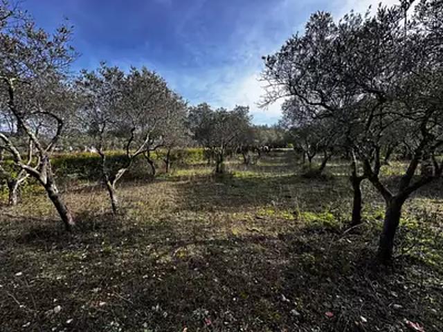 Terrain vente à Arrondissement de Draguignan, Lorgues