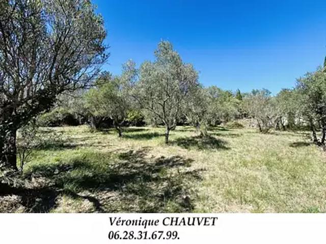 Terrain vente à Arrondissement de Draguignan, Lorgues