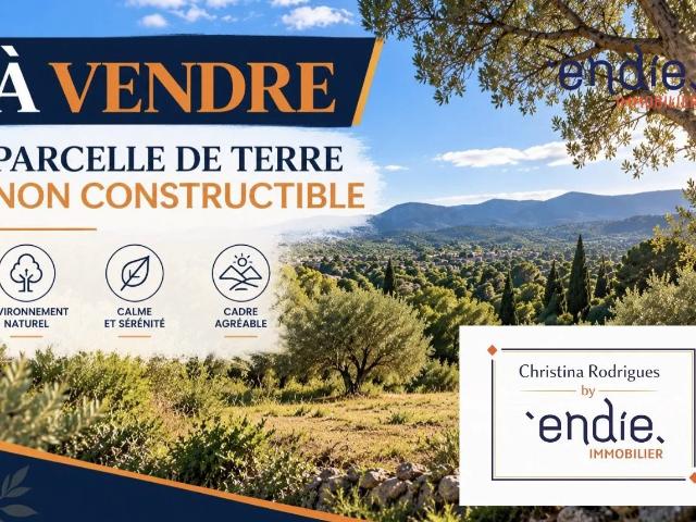 Terrain vente à Lorgues, Var