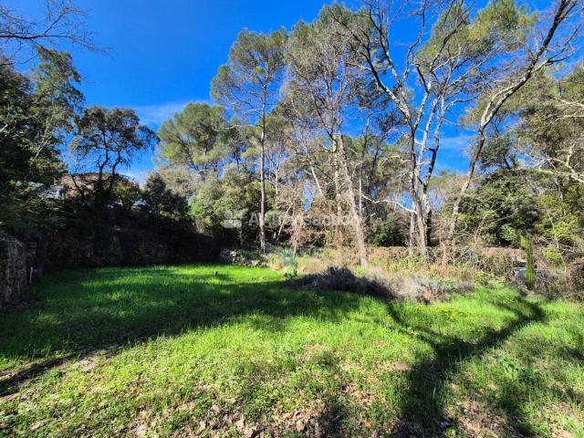 Terrain vente à Arrondissement de Draguignan, Lorgues