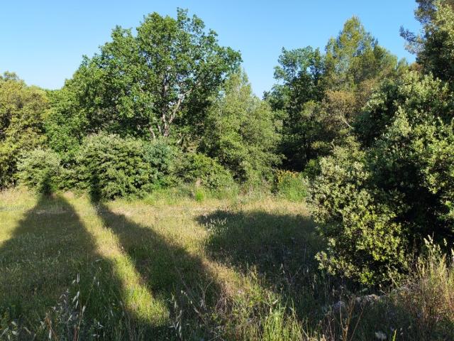 Terrain vente à Arrondissement de Draguignan, Lorgues