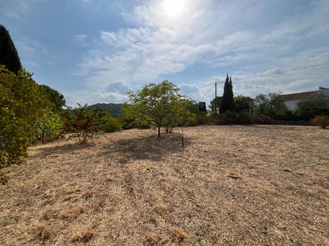 Terrain vente à Arrondissement de Draguignan, Lorgues