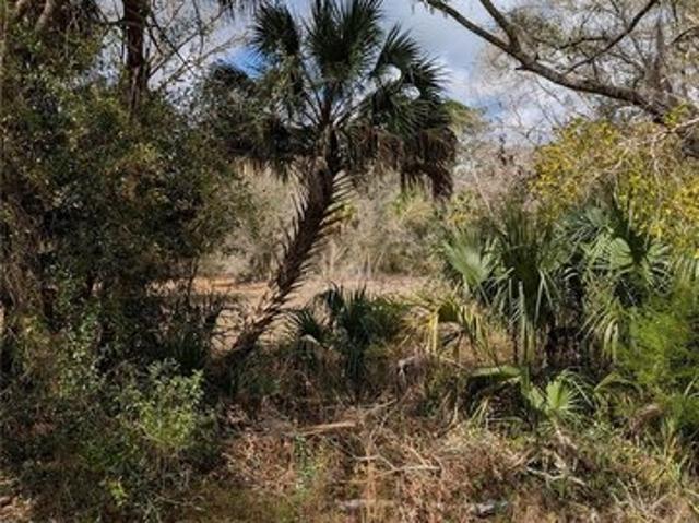 Land for sale in Inglis, Florida