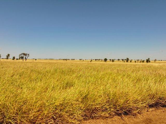 Cottage for sale in Aramac, Queensland