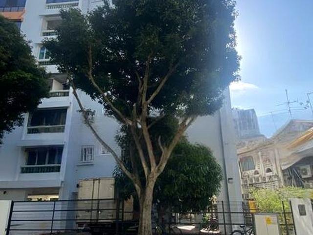 Apartment for sale in Geylang, 14 Central East, Eunos