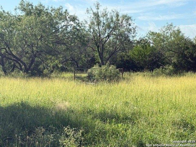 Farm for sale in La Salle, Texas