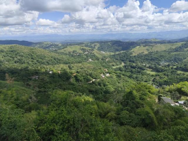 Terreno en venta en Los Anaucos, Municipio Tovar