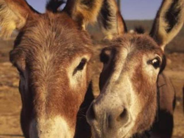 Casa en alquiler en Campillo De Azaba, Salamanca