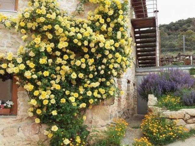 Casa en alquiler en Sigüenza, Castilla-La Mancha