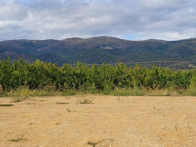 Terrain vente à Prades, Los Masos