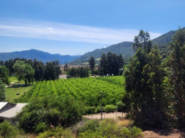 Casa en venta en Monte Grande, Maule