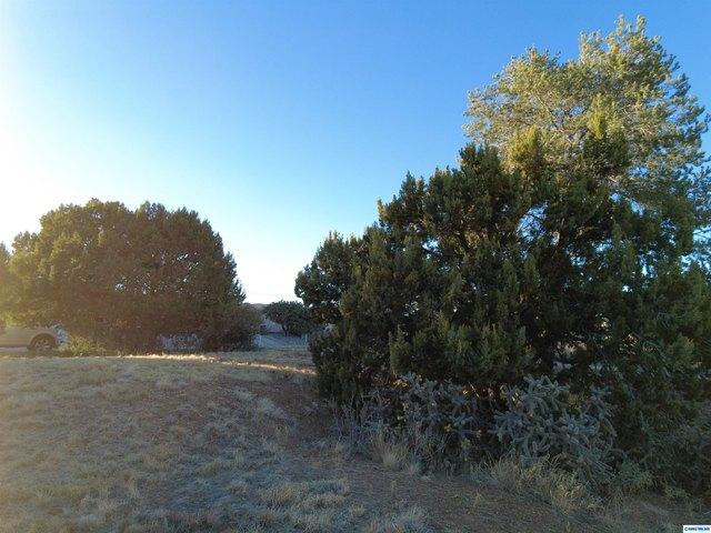Land for sale in Silver City, New Mexico