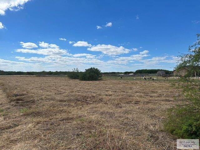 Land for sale in Los Fresnos, Texas
