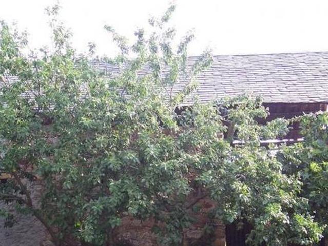 Casa en alquiler en Borrenes