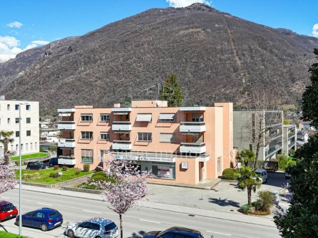 Büro mieten in Losone, Tessin