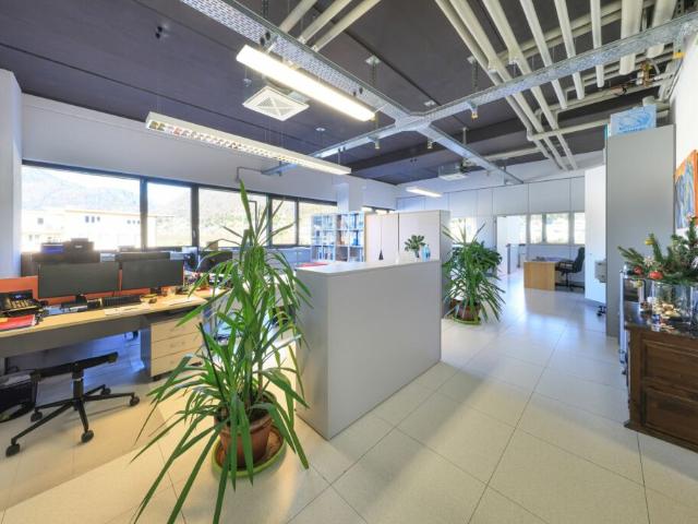 Büro mieten in Losone, Tessin