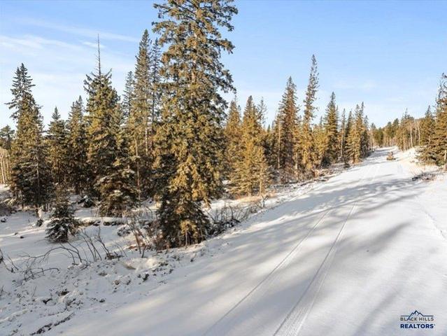 Land for sale in Lead, South Dakota
